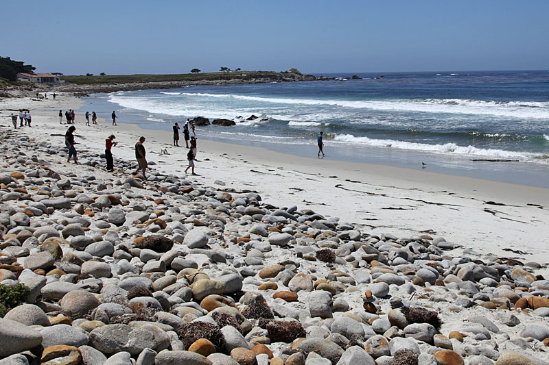 Am Strand des 17-Mile-Drives