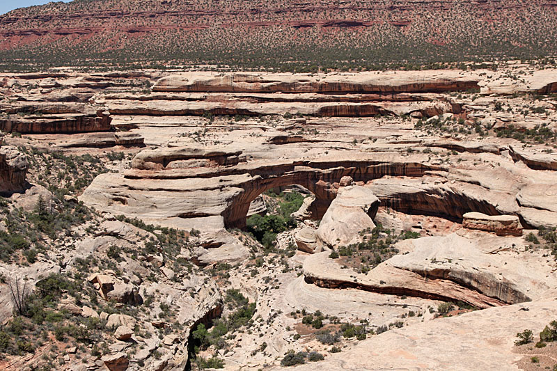 Natural Bridges National Monument: Sipapu Bridge