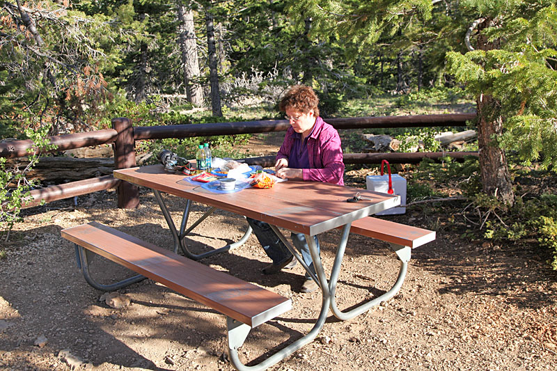 Picknick