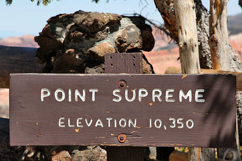Am Point Supreme