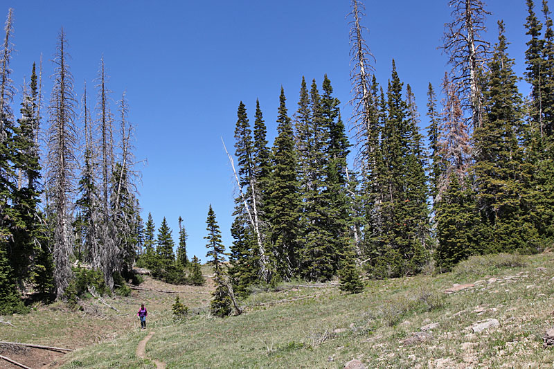 Kleine Wanderung durch die Natur