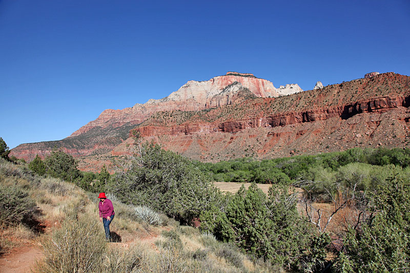 Start des Watchman Viewpoint Trail