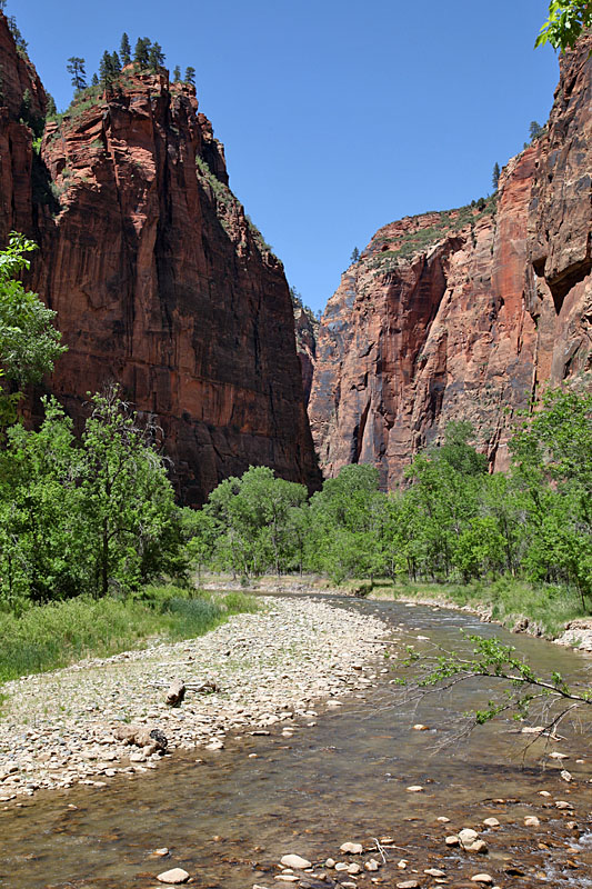 Trail in den Canyon zum Temple of Sinawava