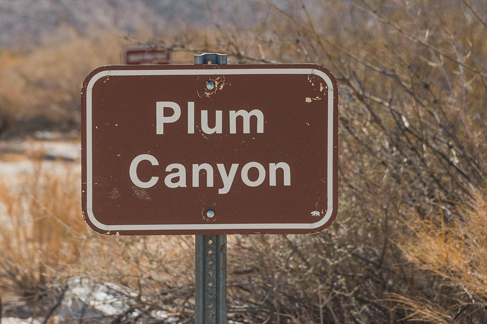 Abstecher in den Plum Canyon
