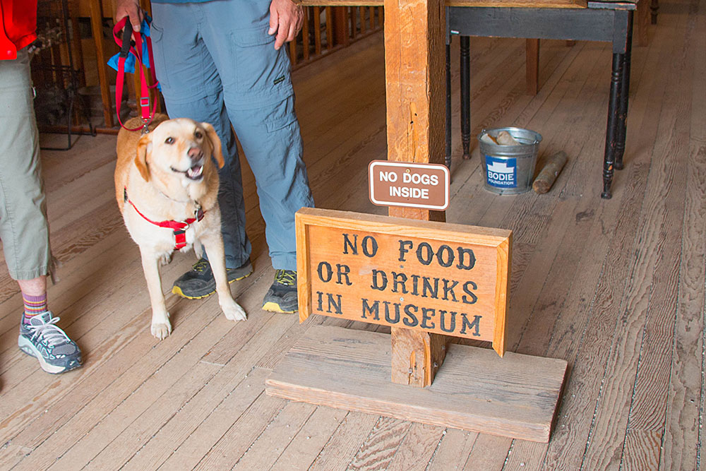 No Dogs inside? ;-)