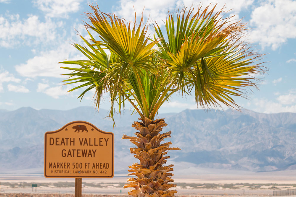 Endlich mal etwas Grün bei Furnace Creek