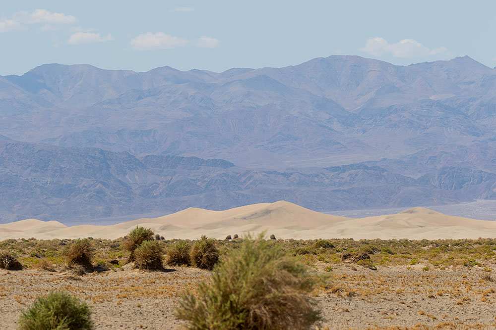 Bei den Mesquite Flat Sand Dunes