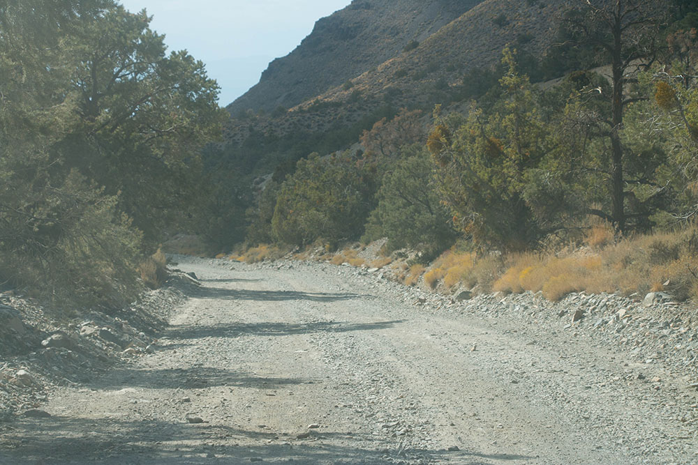 Wieder auf dem Rückweg auf der Gravel Road