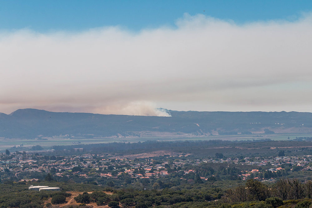 Apropos brennen, hier wieder ein Waldbrand