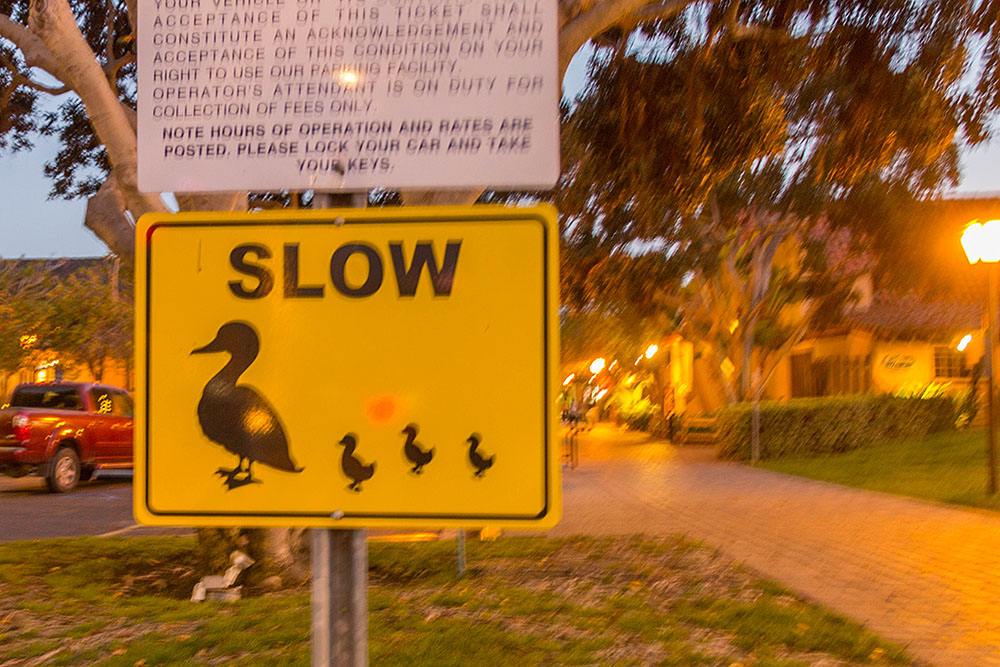 Leider war es zu dunkel für das "Enten-Warnschild" :-(