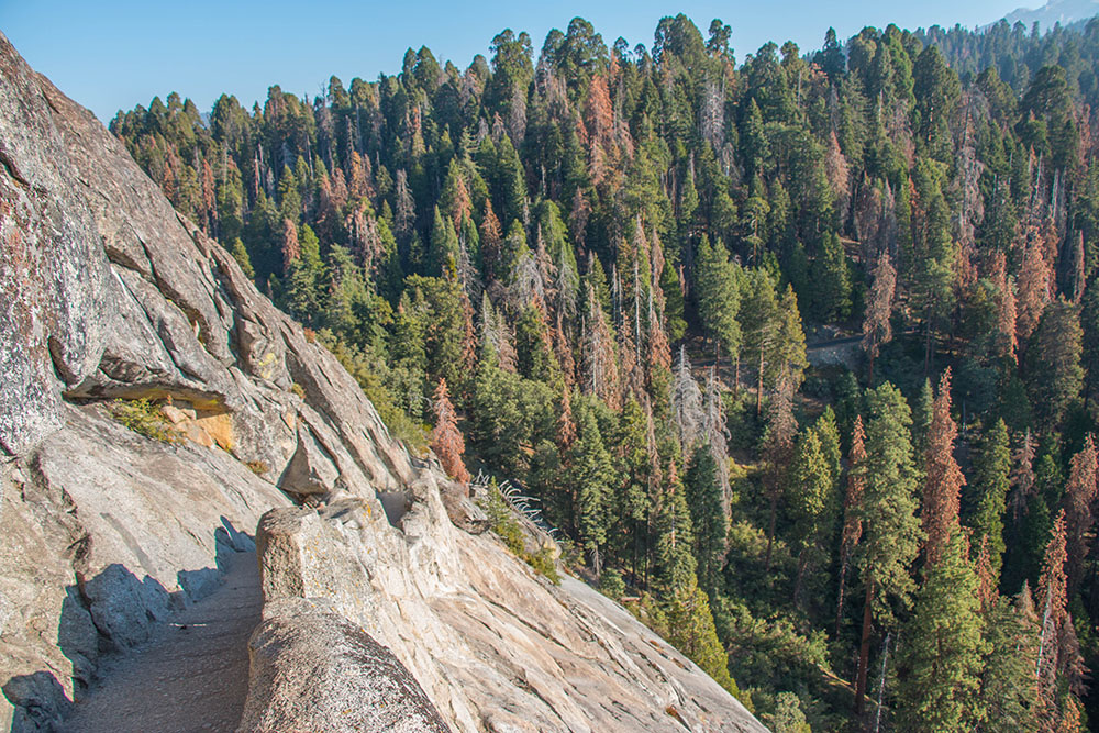 Weg auf den Moro Rock