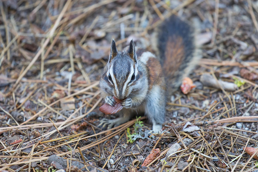 Na, schmeckts?
