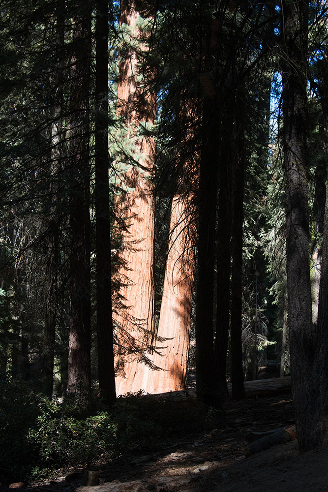 Licht und Schatten
