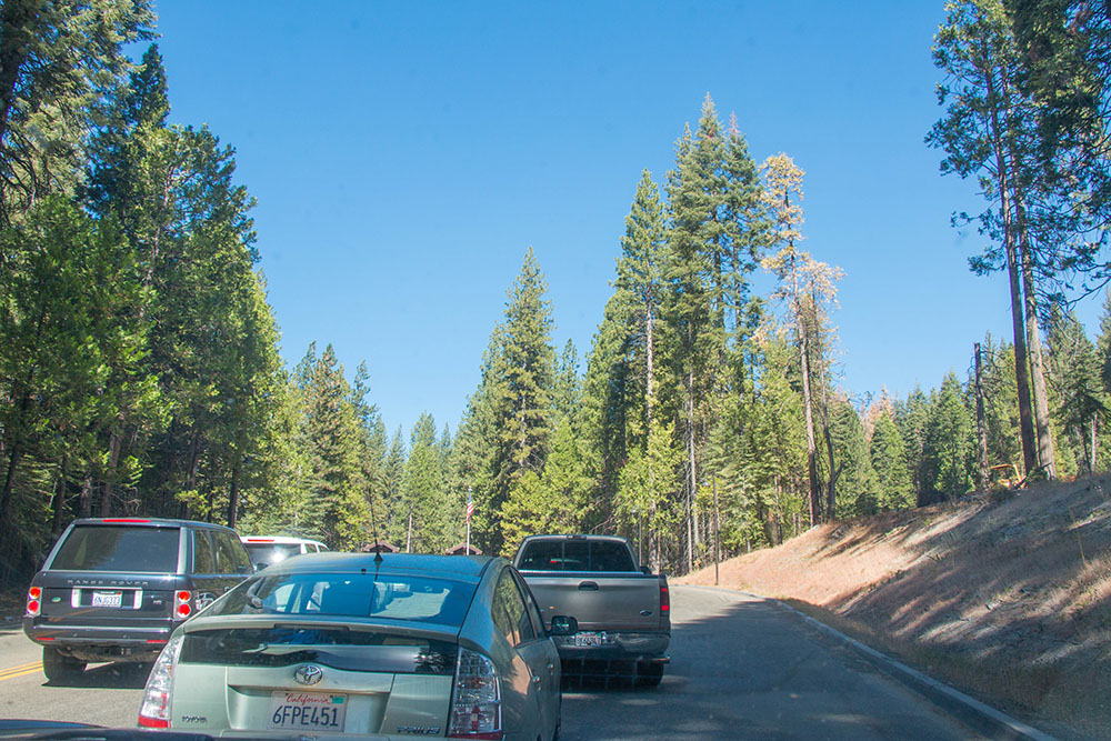 Kleiner Stau am Zufahrtstor des Yosemite National Parks