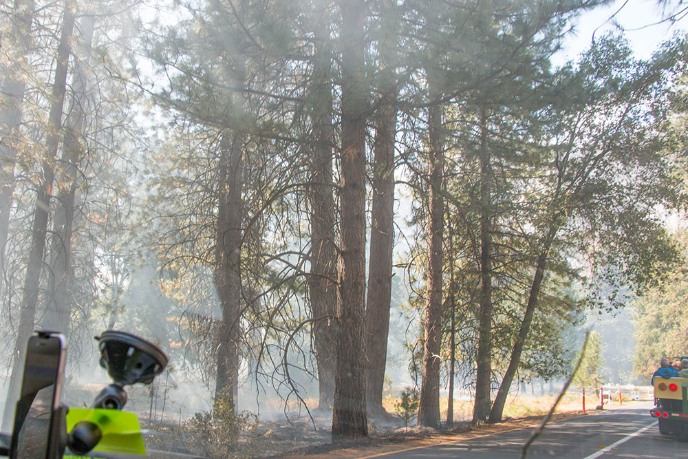 Waldbrand im Yosemite Valley