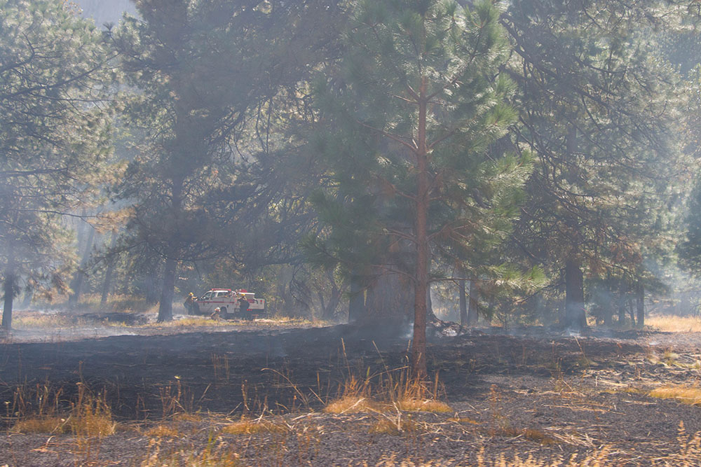 Waldbrand im Yosemite Valley