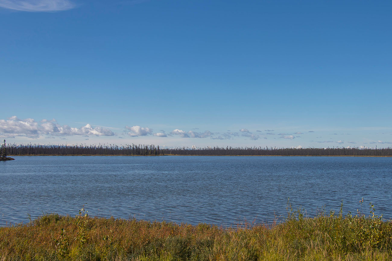 Fahrt nach Norden, zum Denali National Park 