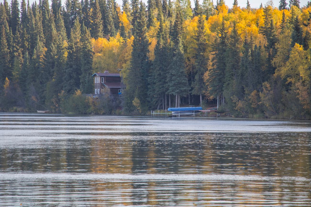 Am Harding Lake 
