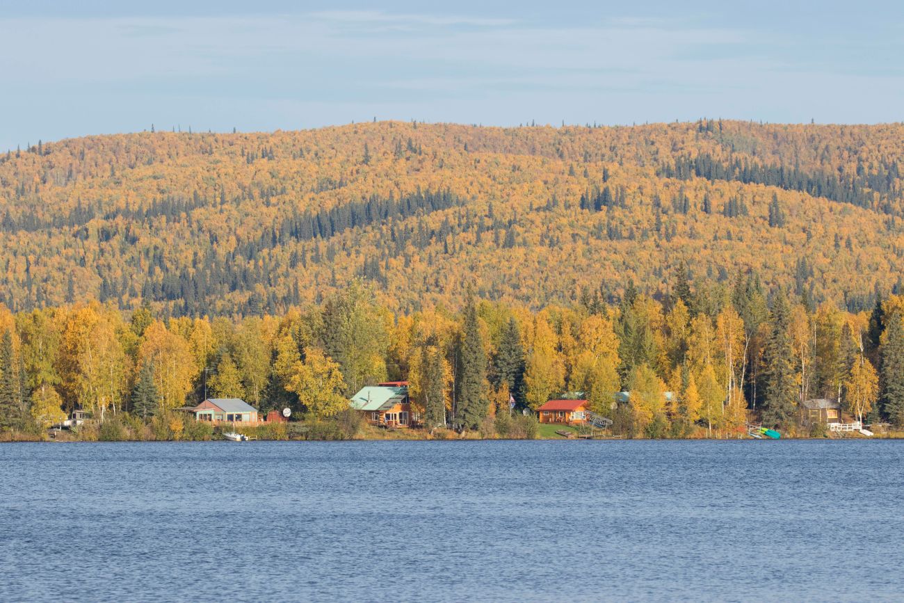 Am Harding Lake 