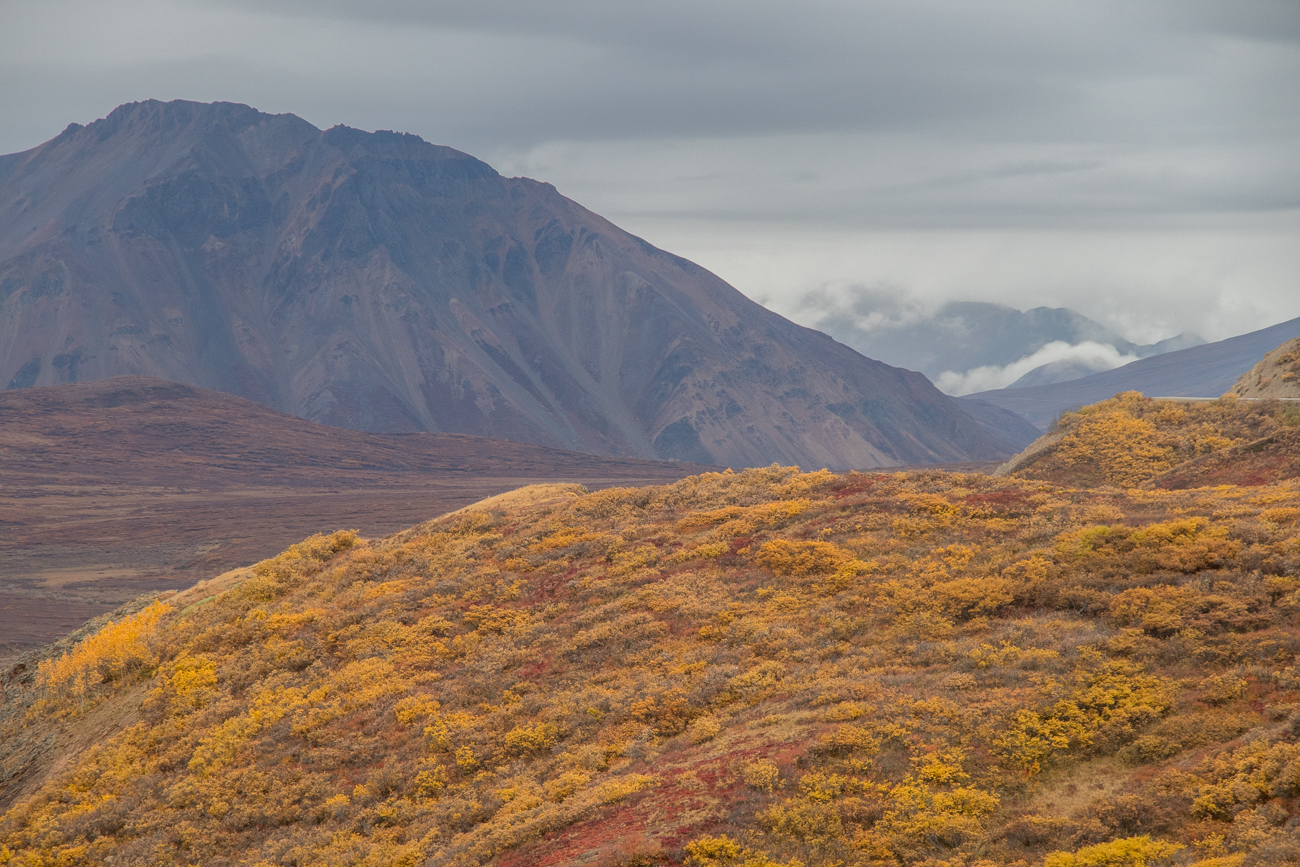 Denali-Landschaft