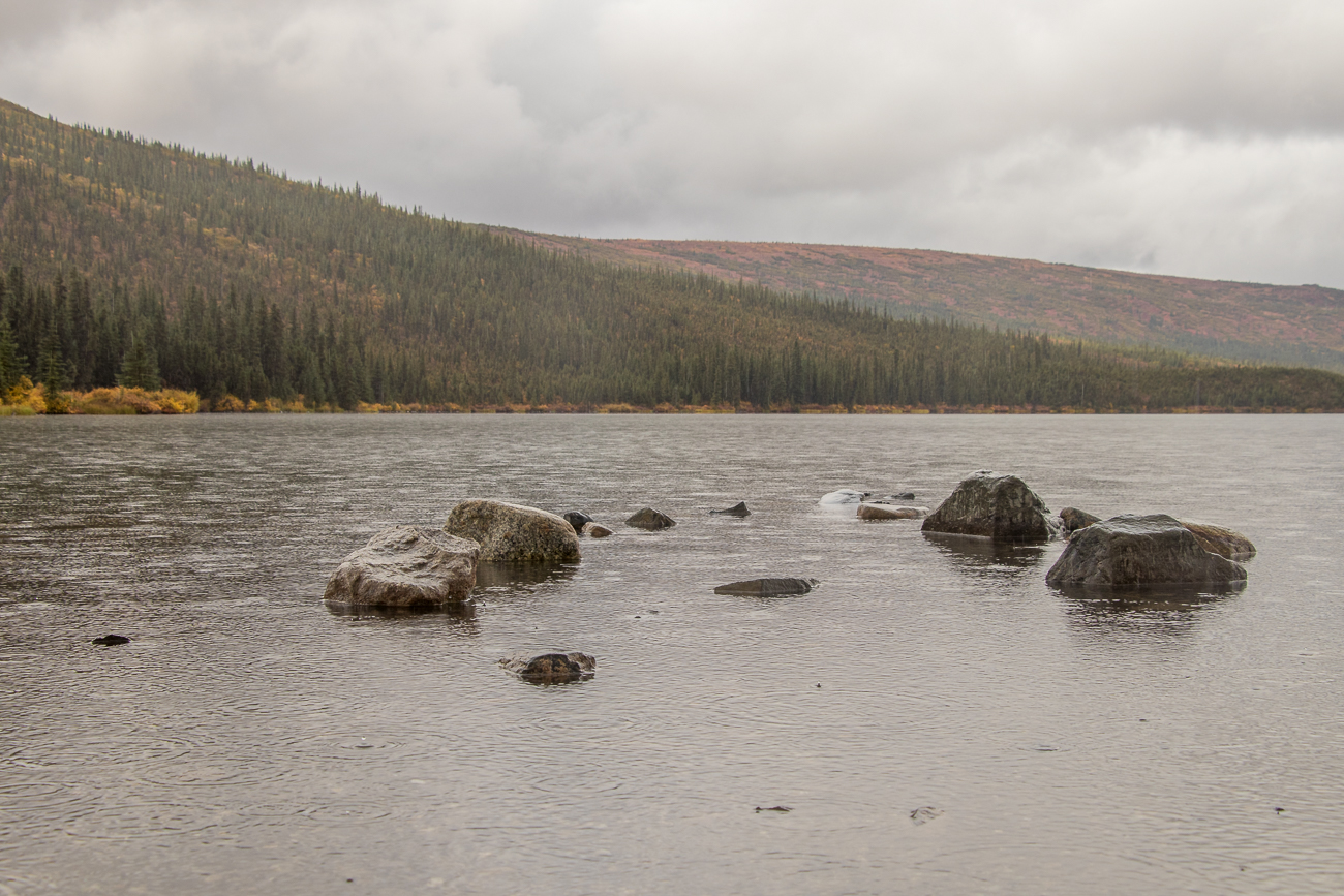Regen am Wonder Lake 