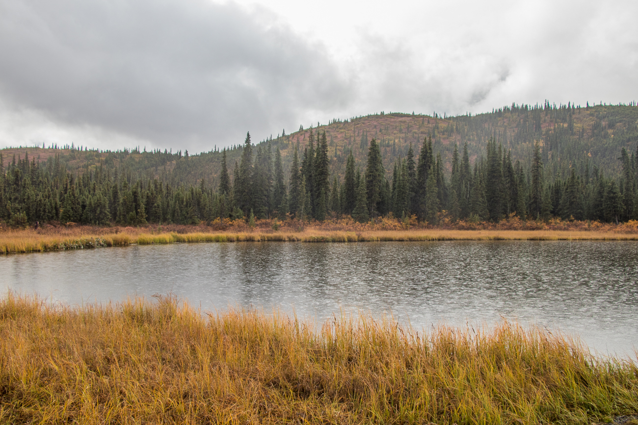 Regen am Wonder Lake 