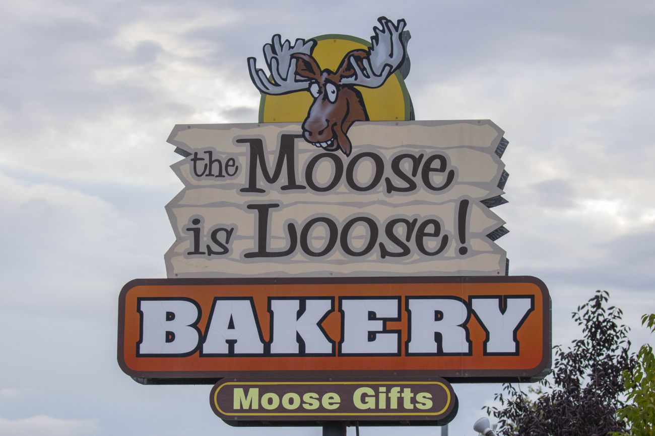 In Soldotna is the Moose loose ;-) 