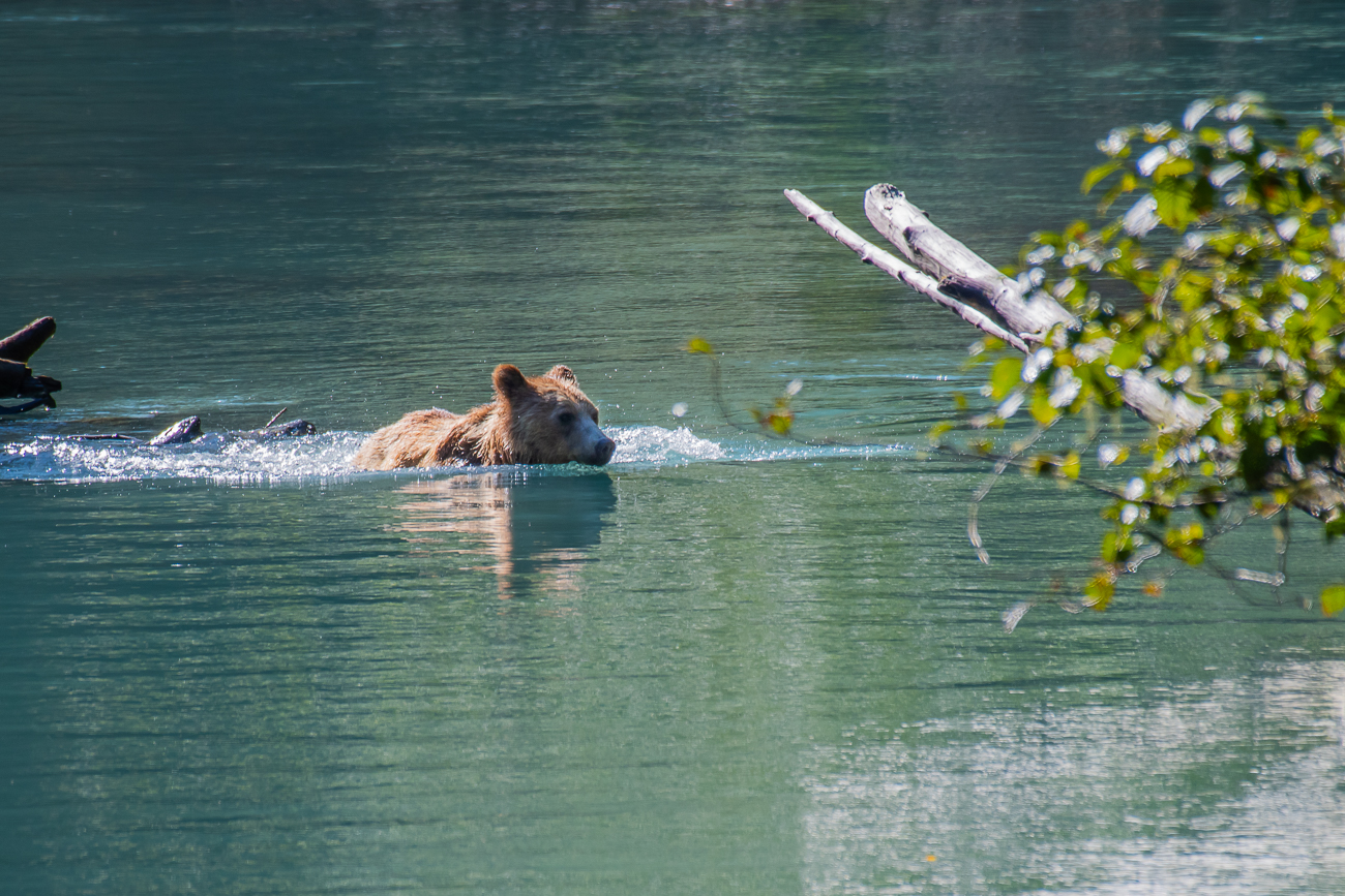... dann überquert er den Fluss ...
