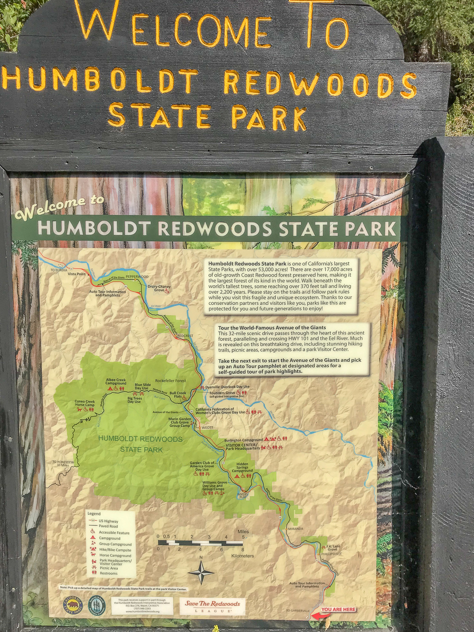 Wir erreichen den Humboldt Redwoods State Park