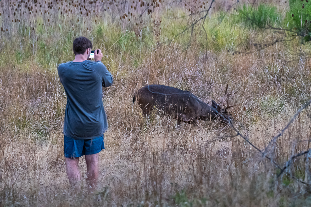 Die Tiere hatten keine Scheu, unser Camping-Nachbar auch nicht ;-)
