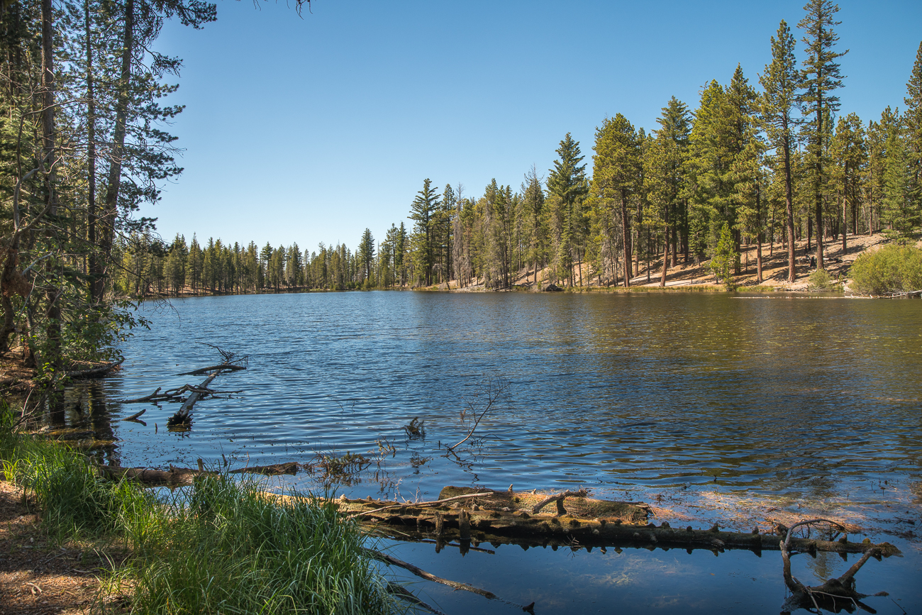Ankunft am Summit Lake North Campground ...