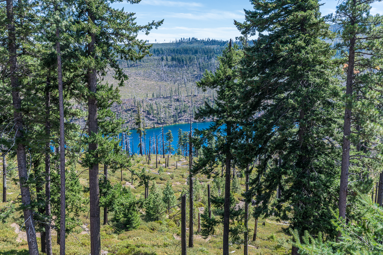 Suttle Lake