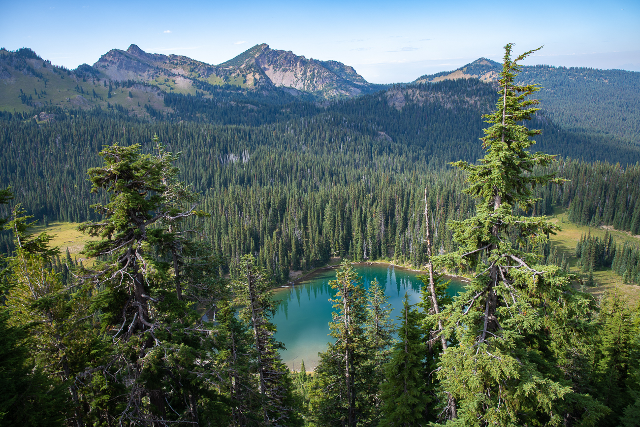 Hier sind wir schon im Mt. Rainier National Park