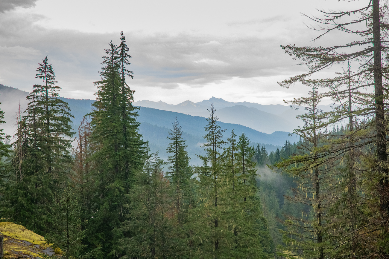 ... zeichnen sich die Berge um den Mt. Rainier ab