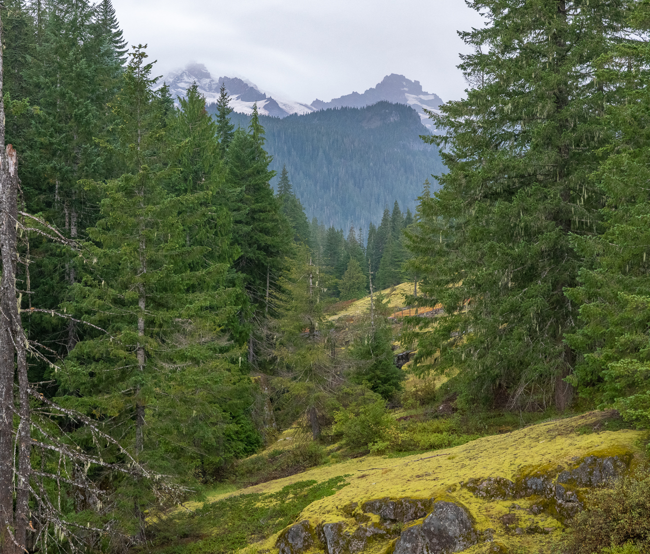 Der Schnee zeigt, dass die Berge nicht gerade niedrig sind