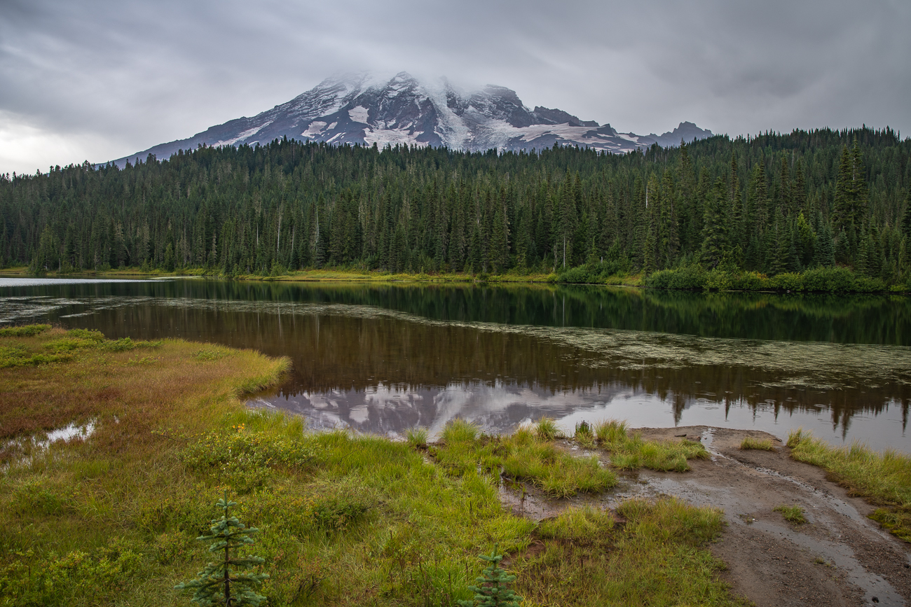 Am Mirror-Lake: Hier spiegelt sich der Mt. Rainier, bei schönerem Wetter sicher besser zu sehen