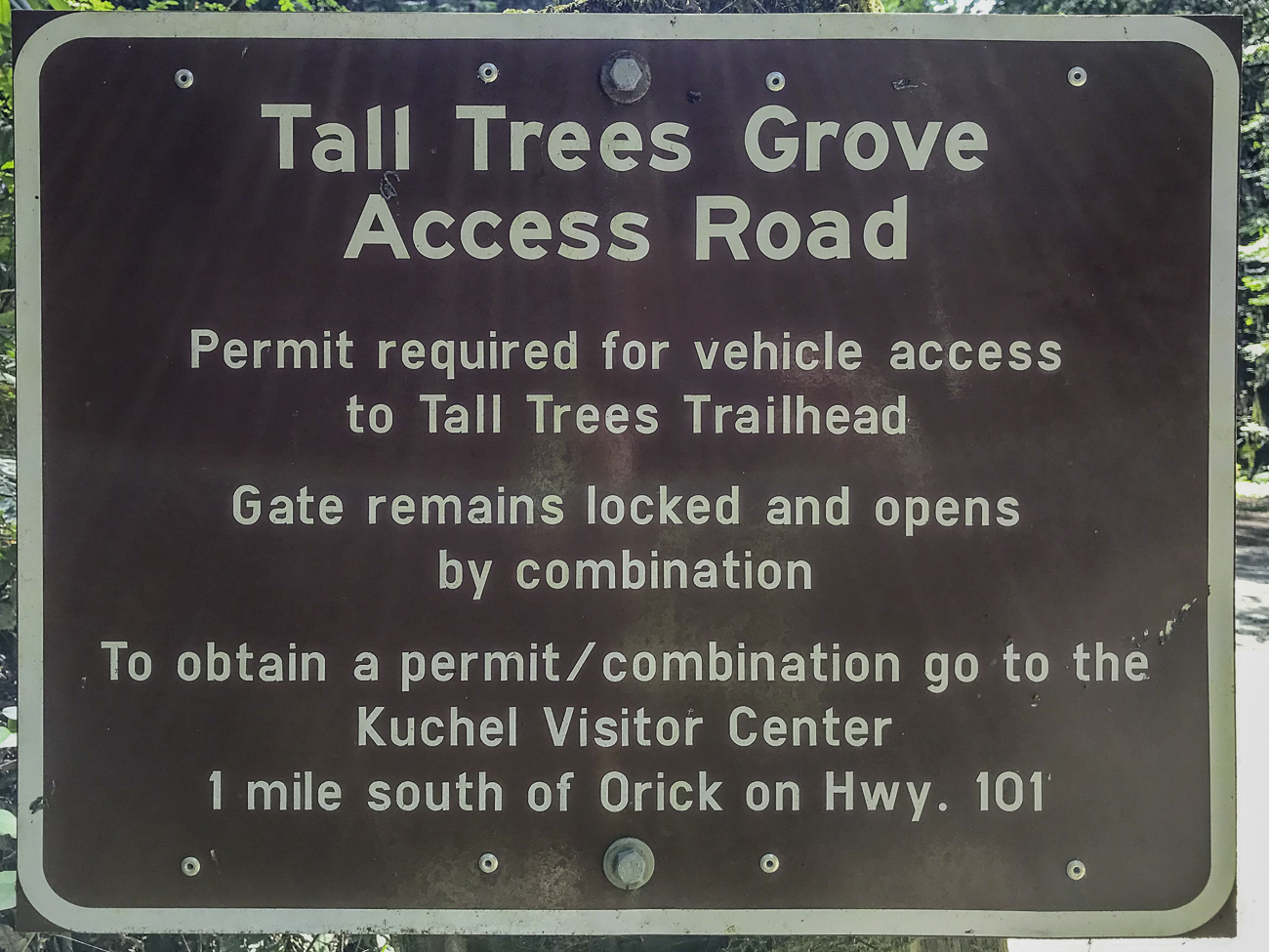 Einige Meilen weiter, fahren wir die Tall Trees Grove Road