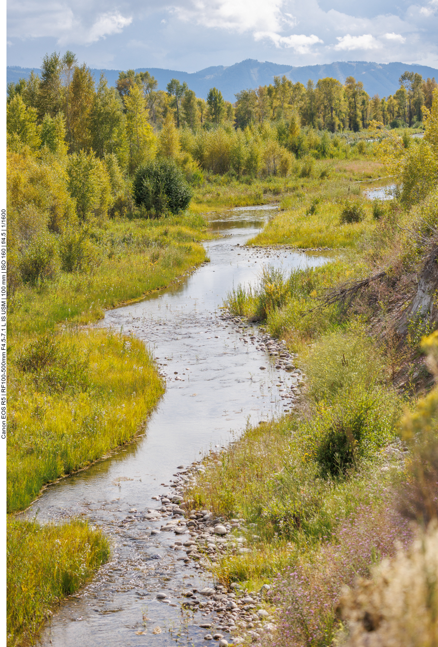 Der Gros Ventre River 