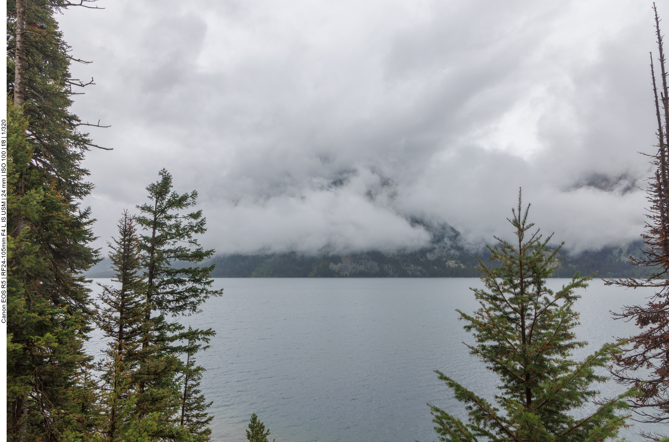 Blick auf den Jackson Lake, leider vernebelt 