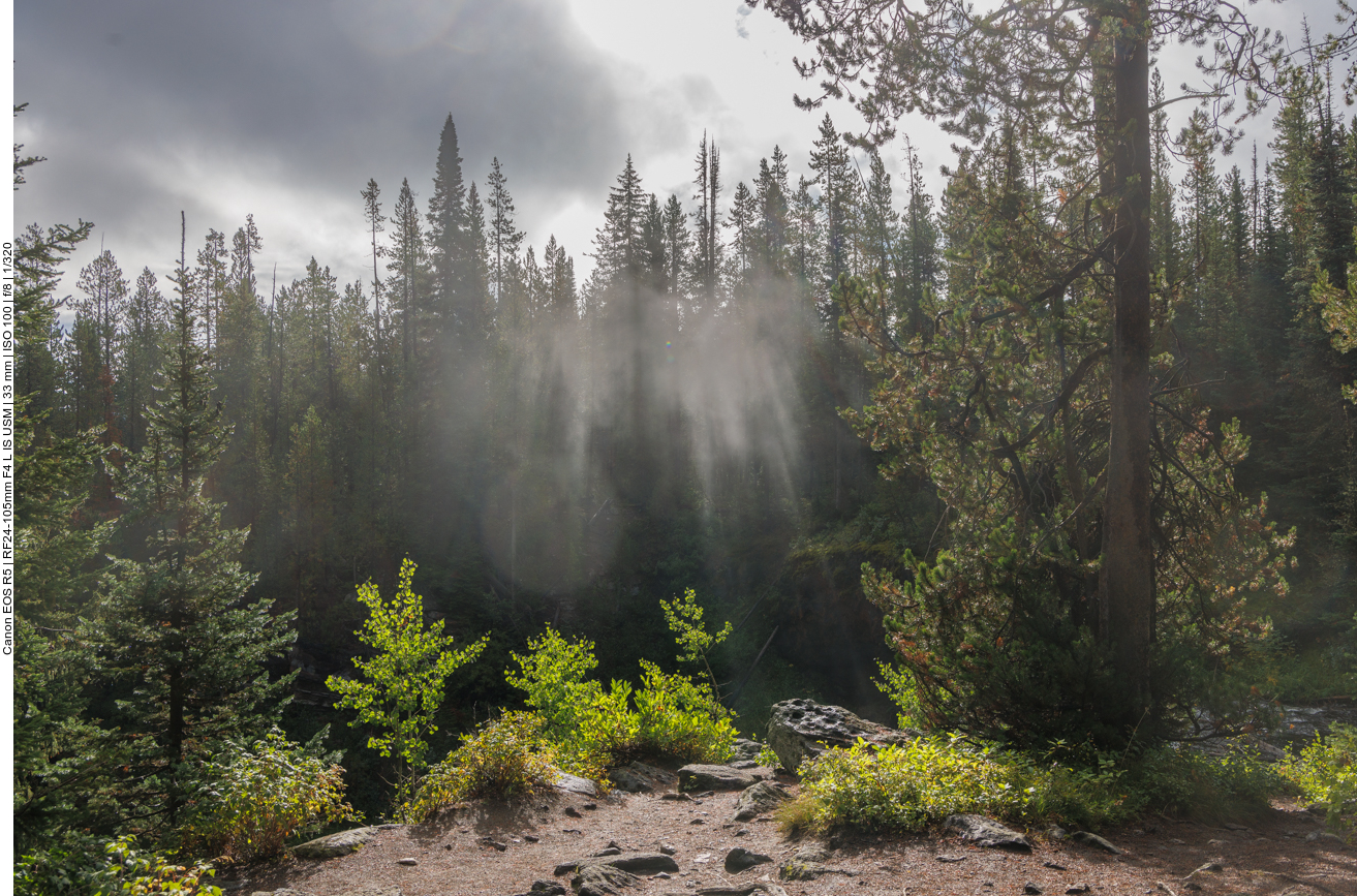 Auf dem Weg zu den Moose Falls 