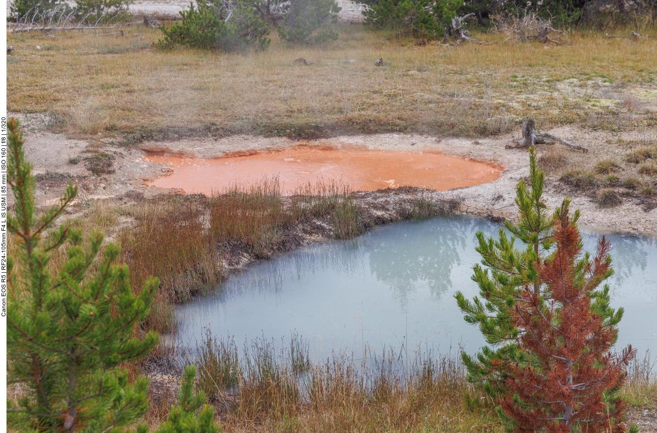 ... je nach den diversen Mineralien, variieren die Farben des zum Teil blubbernden Wassers 