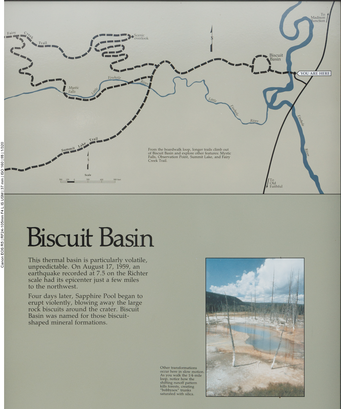 Nun sind wir am Biscuit Basin 
