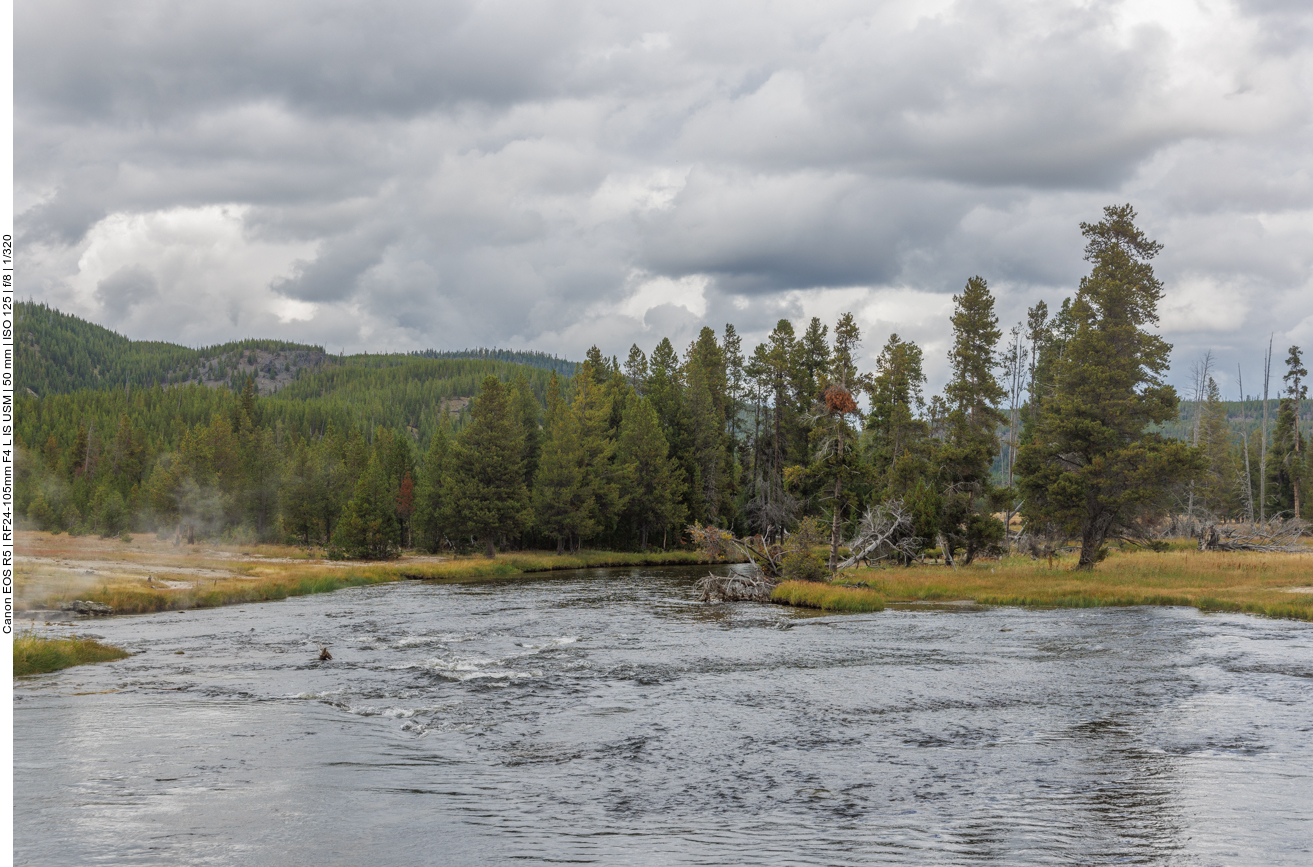 Der Firehole River fließt auch hier durch das Basin 