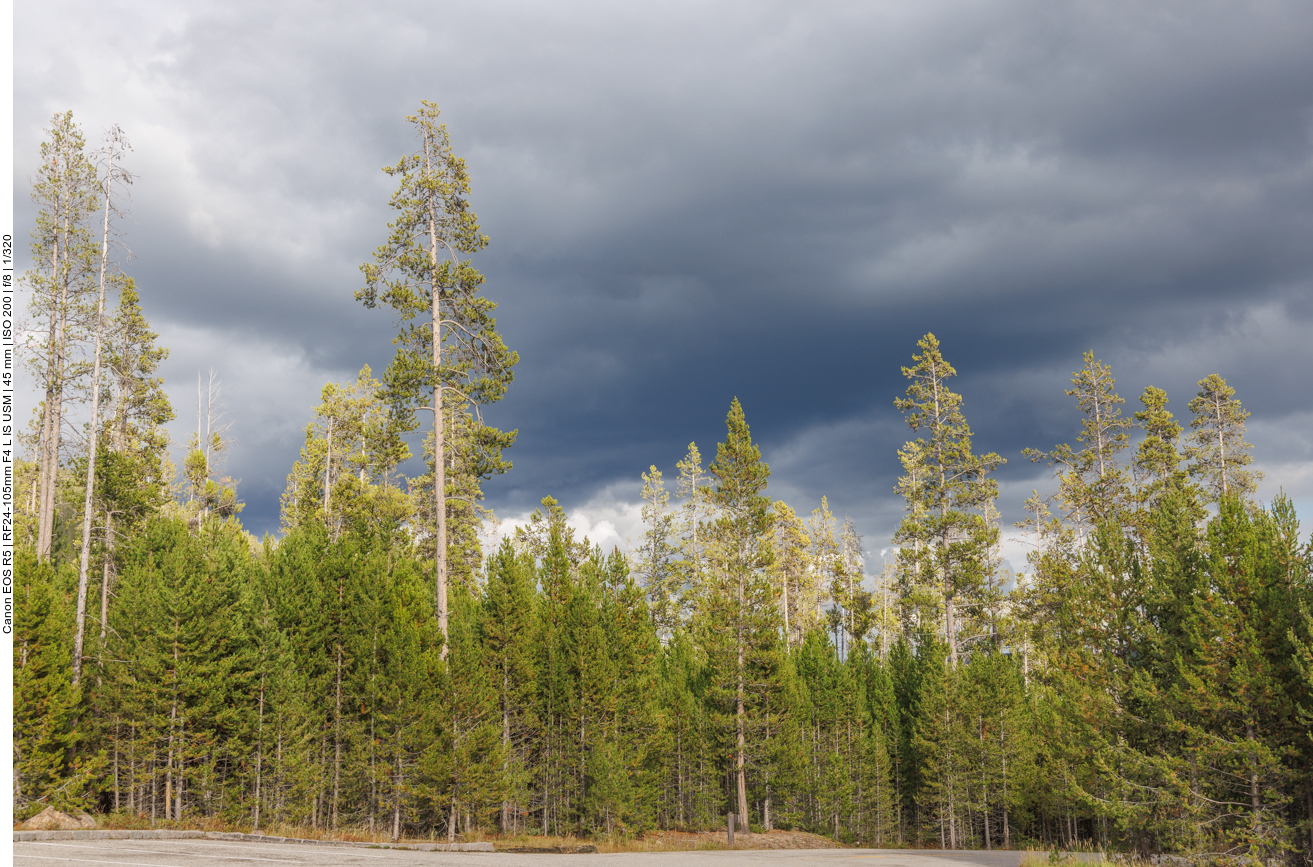 Dunkle Wolken verdecken wieder einmal die Sonne :-( 