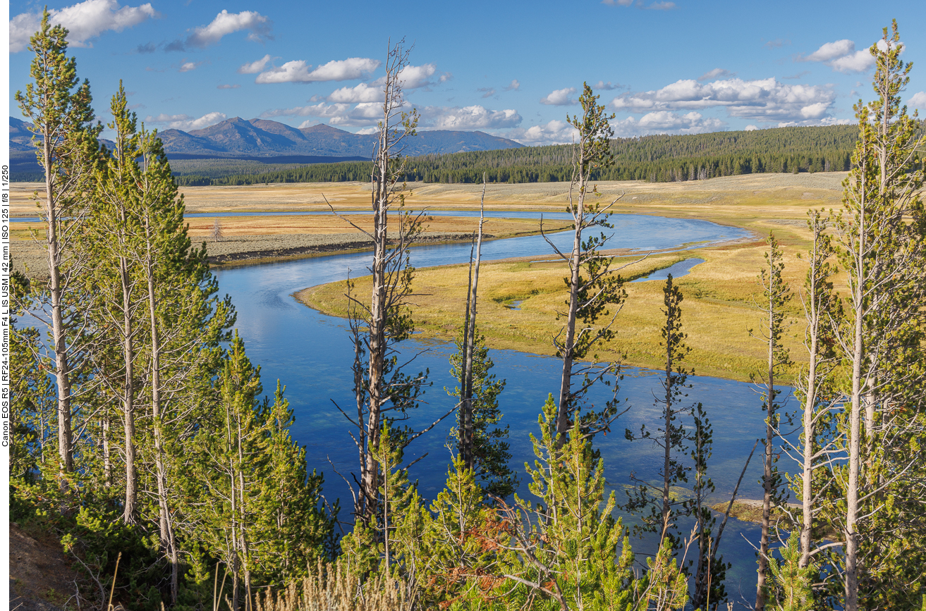 Schöne Flusslandschaft im Hayden Valley