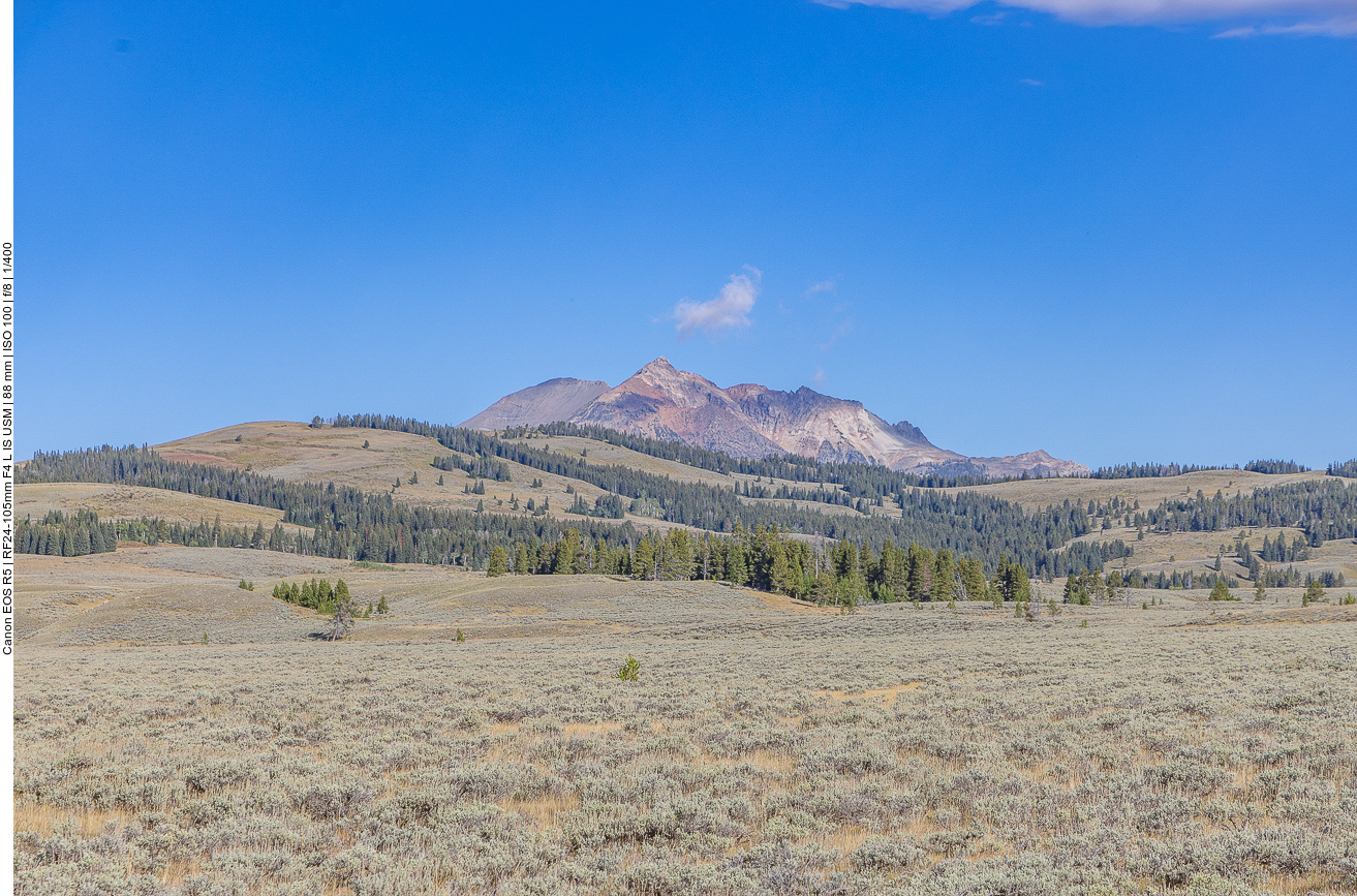 Auf dem Weg nach Mammoth Hot Springs