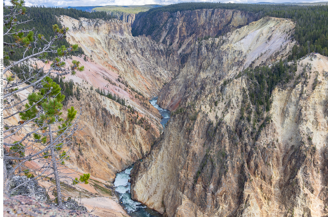 ... im Canyon des Yellowstone Rivers