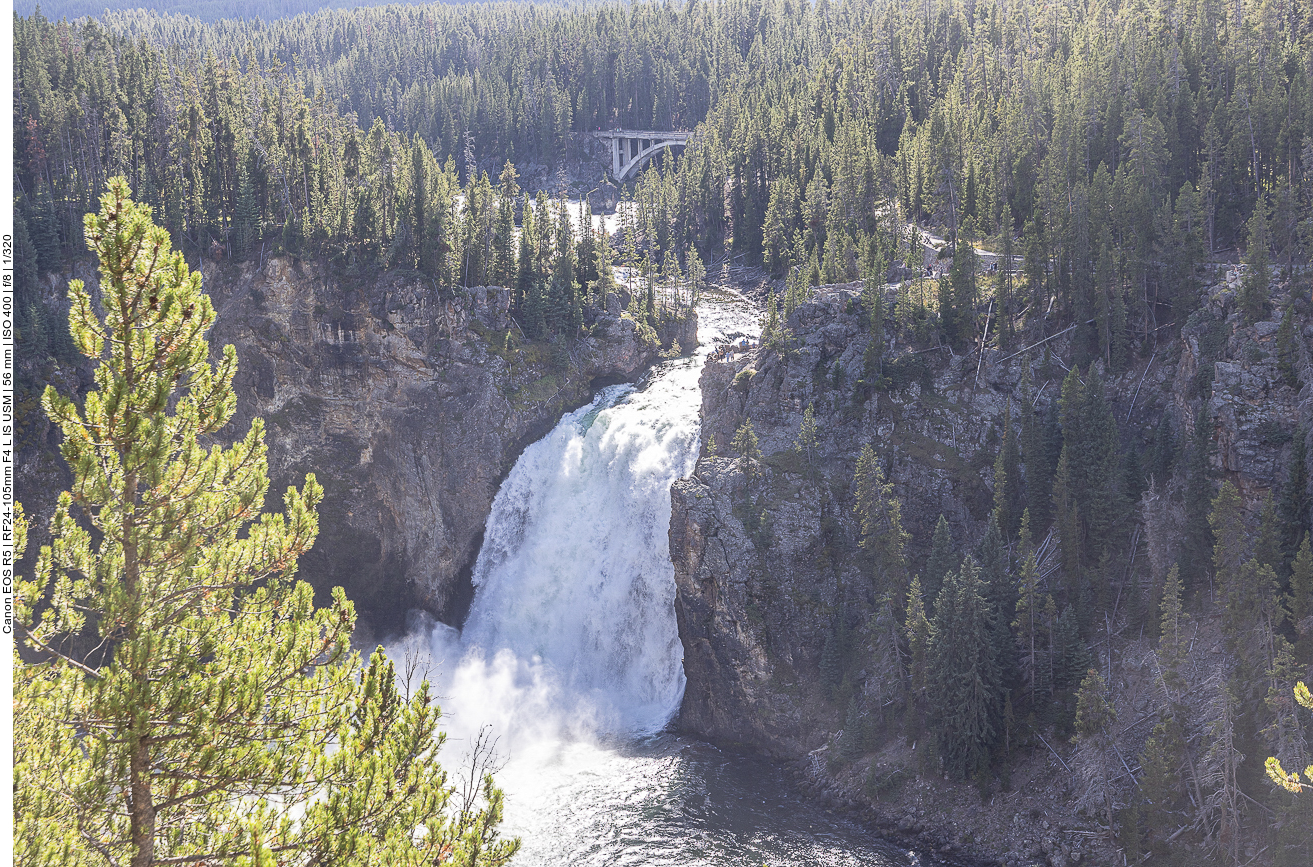 ... im Grand Canyon of the Yellowstone