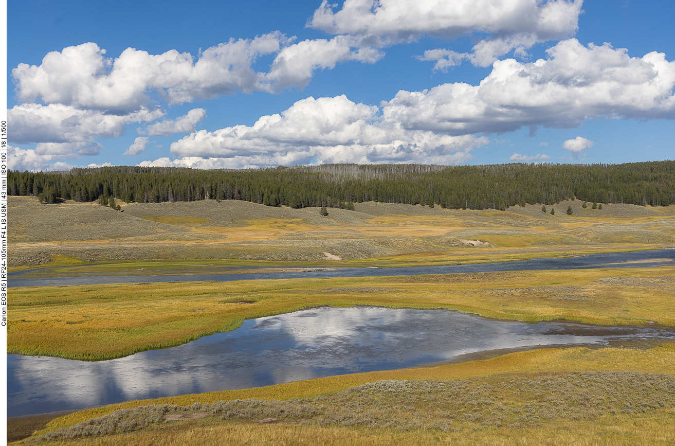 Flusstal im Hayden Valley