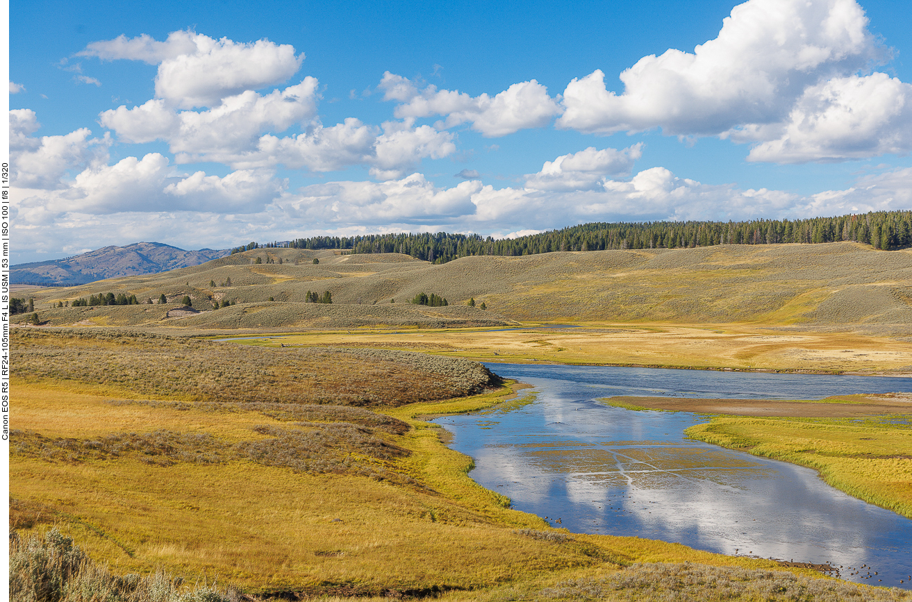 Flusstal im Hayden Valley